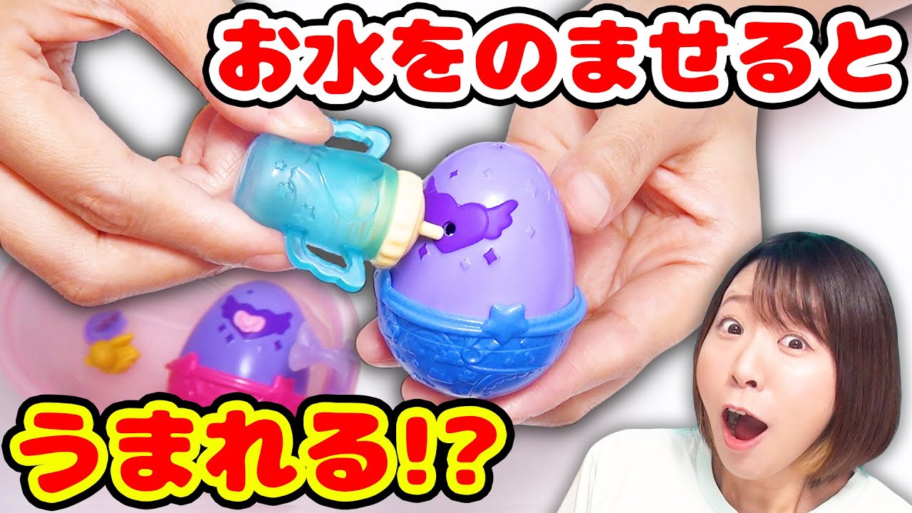 なんでこれ産まれるの!? お水でパリッ！ニョキッ！と生まれてくる卵の