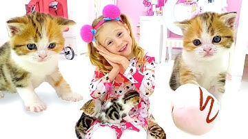 Nastya học Cách nuôi mèo con