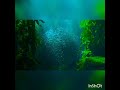 توكيدات إيجابيه في الصباح وقبل النوم للتحفيز للاسترخاء الطمأنينة السلام الداخلي النجاح