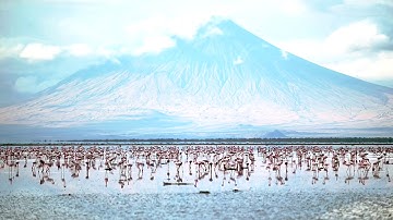 سوف تندم ان لم تسمع هذا الصوت الشجي تلاوة جميلة جدا المفاجأة في الدقيقة 3.07