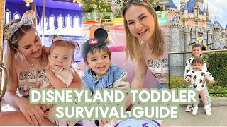 Taking toddlers to Disneyland? Don't go before watching this!