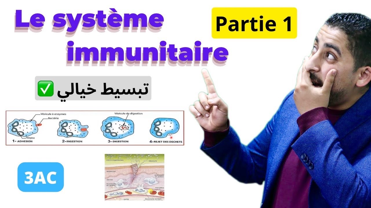 3AC : La réponse immunitaire | Partie 1 🔥شرح مبسط جدا 🔥
