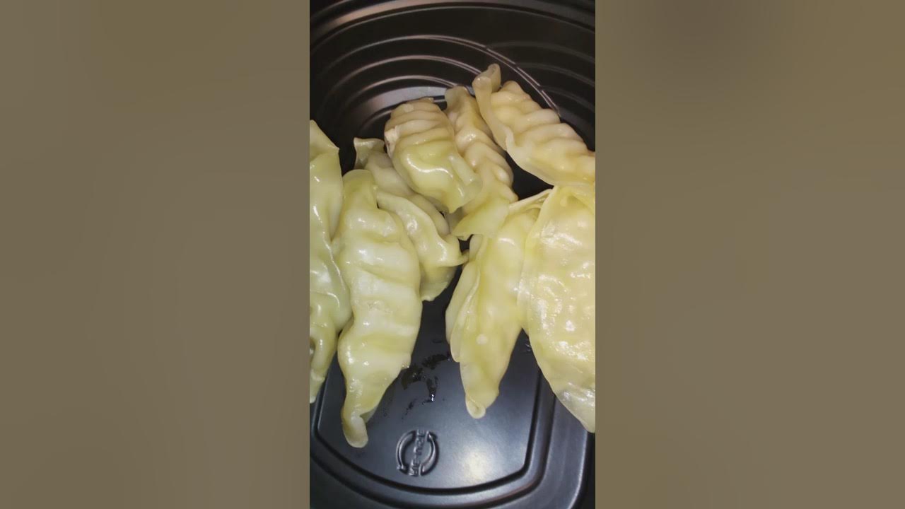 Pork Potstickers from Dollar Tree, are they any good? short YouTube