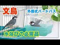 【文鳥】外掛式バードバス　かわいい水浴び | スドー