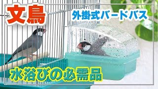 【文鳥】外掛式バードバス　かわいい水浴び | スドー