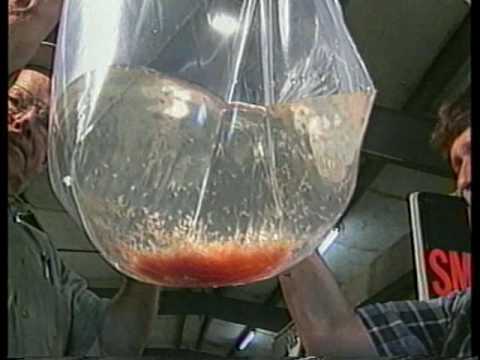 Channel Catfish Spawning and Hatchery Management