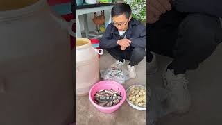 How to make 100 pounds of fish protein fertilizer Let s make 100 pounds of fish protein fe