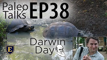 Charles Darwin and the Fossil Record [Paleo Talks EP38]
