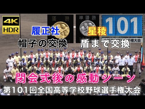 第101回　全国高校野球選手権大会　記念ボール　3球セット　履正社　星稜高校 第101回 全国高校野球選手権大会 記念ボール 3球セット 履正社 星稜