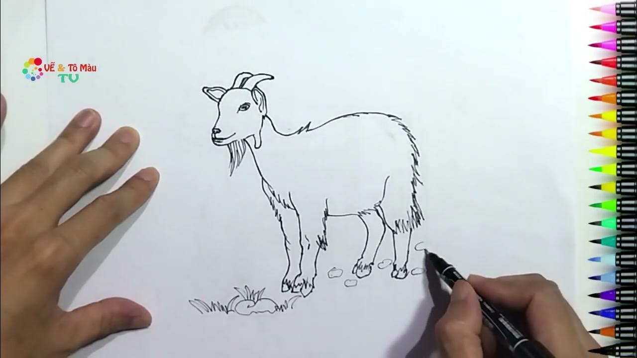 VẼ CON DÊ - Cách Vẽ Con Dê Đơn Giản Nhất - Draw a goat - YouTube