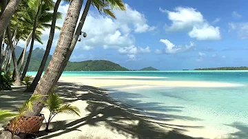 Private Island 🏝 Tour Tropical Beach | Motu Tane Bora Bora, French Polynesia 🇵🇫 | 4K Ultra HD Travel