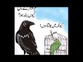 Sch hamsha karwah hota hai or usko hamsha Dubaya jata hai#shortvideo deep lines #qoutesinurdu