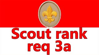Scout rank 3a - Explain the patrol method. Describe the types of patrols that are used in your troop
