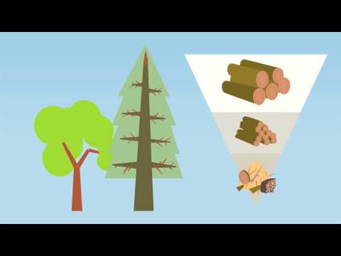 Video: Was ist eine Holzsohle?