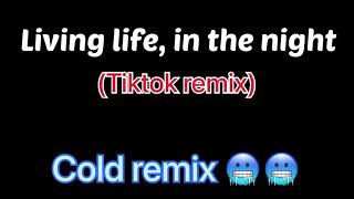 Living life, in the night (tiktok remix & version) 🥶🥶