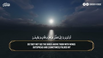 Surah Al-Mulk Sherif Mustafa _ القارئ شريف مصطفي سورة الملك - راحه وسكينة