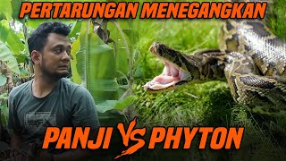 ULAR PHYTON MONSTER !! SERANGANNYA BIKIN PANJI KEWALAHAN !! by Panji Petualang 106,214 views 1 month ago 15 minutes