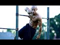 FRANK MEDRANO Superhuman - Cut and Jacked Calisthenics HOT VIDEO!!