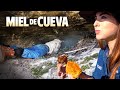 MIEL en PENCA directo de la CUEVA - ALMA Coronel