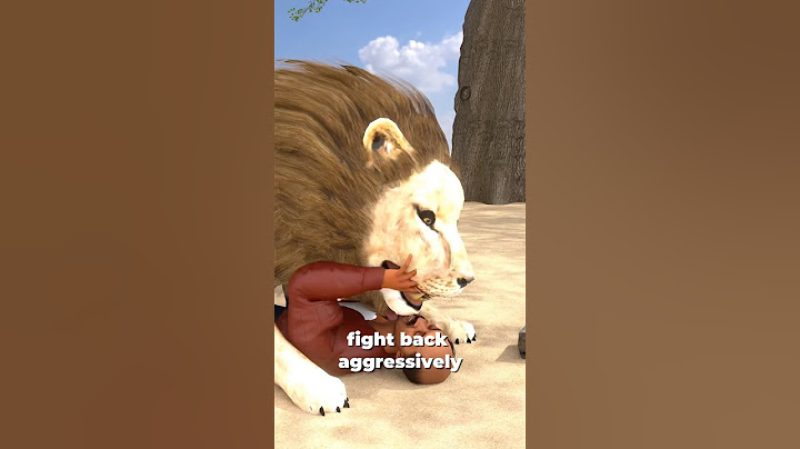 How To Survive A Lion Attack? 😱 #shorts #animation