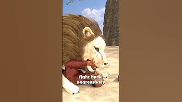 How To Survive A Lion Attack? 😱
