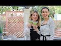 Աղցաններ - Թանձրուկ - Կոկտեյլ - Պայծառի Բաղադրատոմսը - Heghineh Cooking Vlog #77