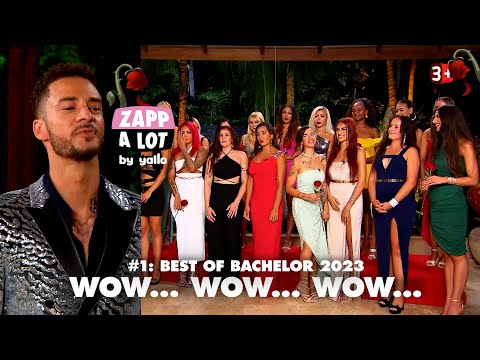 Vol. 1 - 🌹 Best of BACHELOR 2023 🌹 - 🥀 Wow... Wow... Wow... 🤯  - by @zappalot