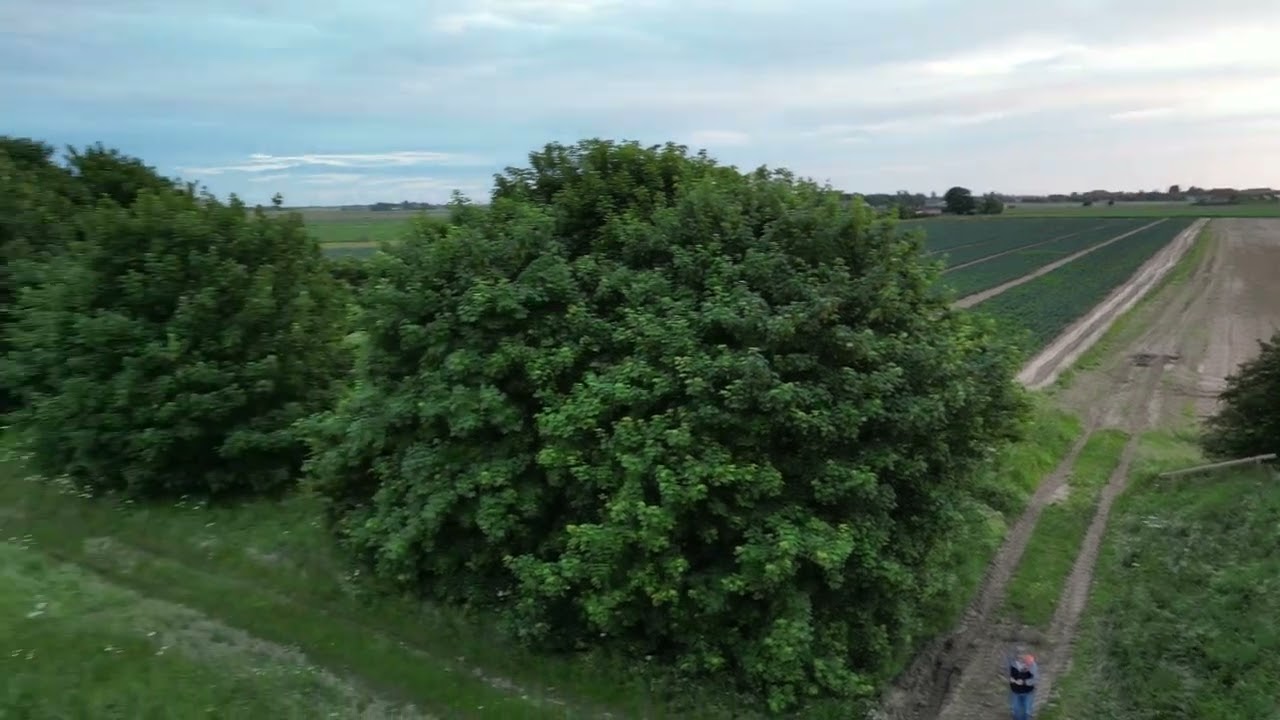 DJI Mini 3 Pro Flight #12 (12th June 2022)