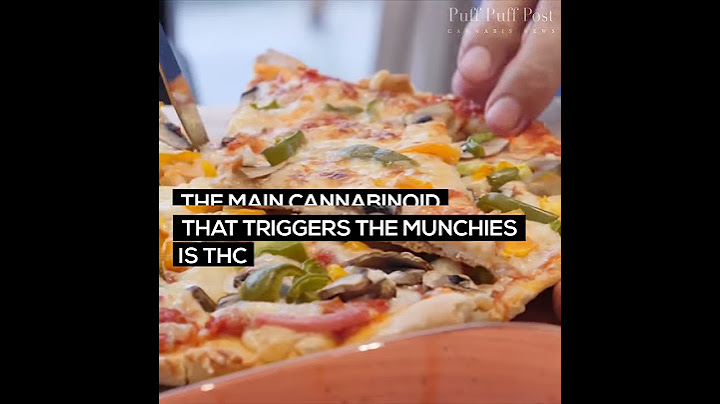 The Munchies: Why Does Marijuana Make You Hungry?