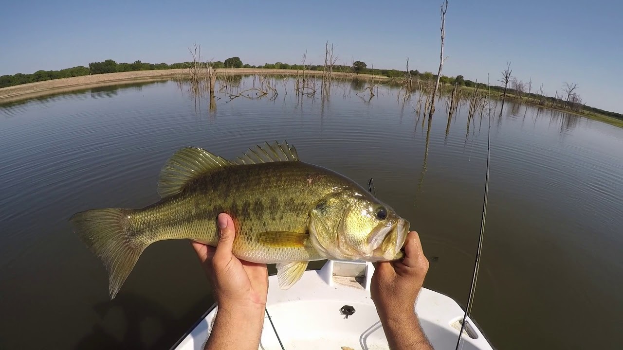 Bass Fishing Lake Paradise YouTube
