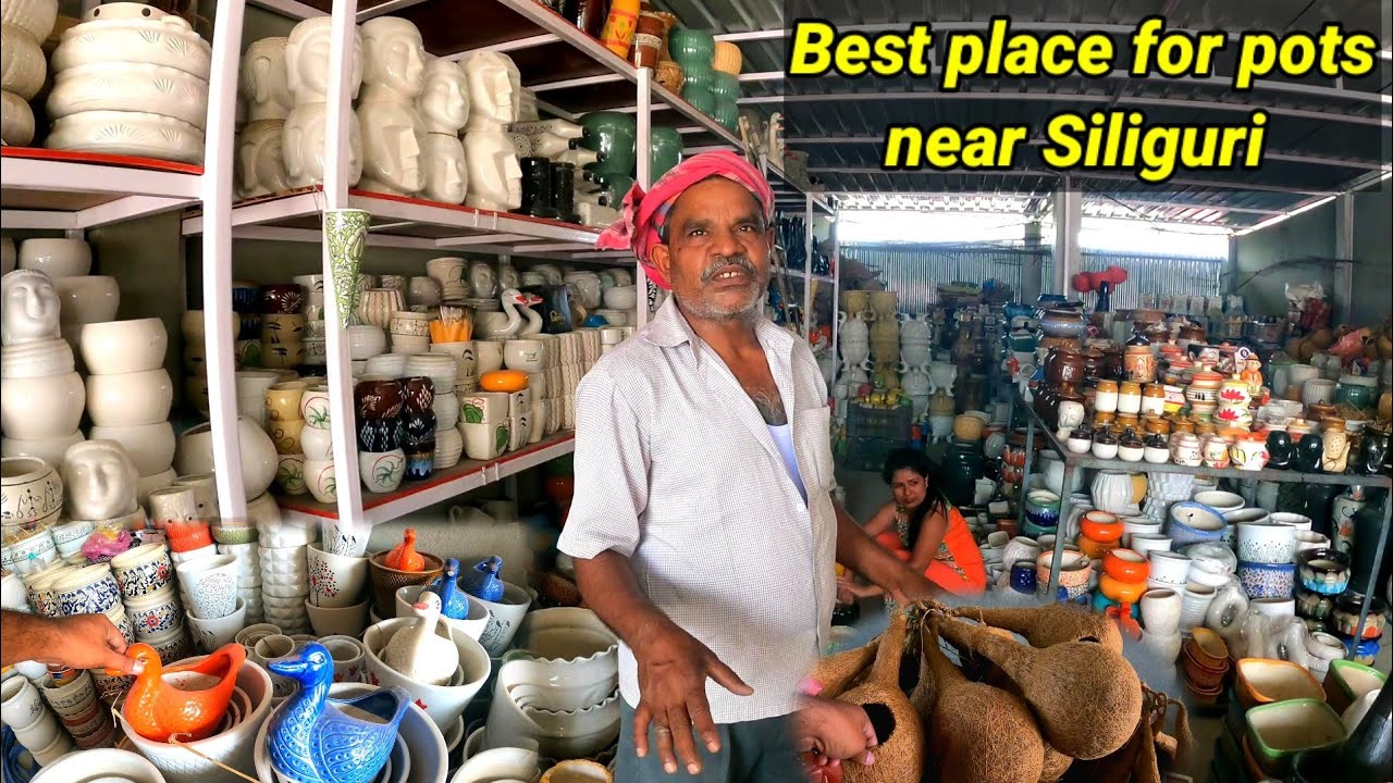 Best place to buy Ceramic pots for plants near Siliguri / Got out of a