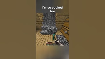 i might as well be stuck forever bro 😭 #minecraft #memes #funny #gaming