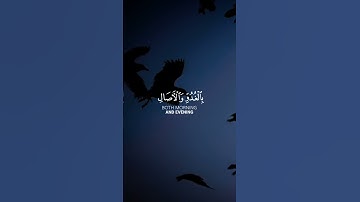 بصوت _ عبدالرحمن مسعد _ من سورة الاعراف#قرآن #اكسبلور #إستمع