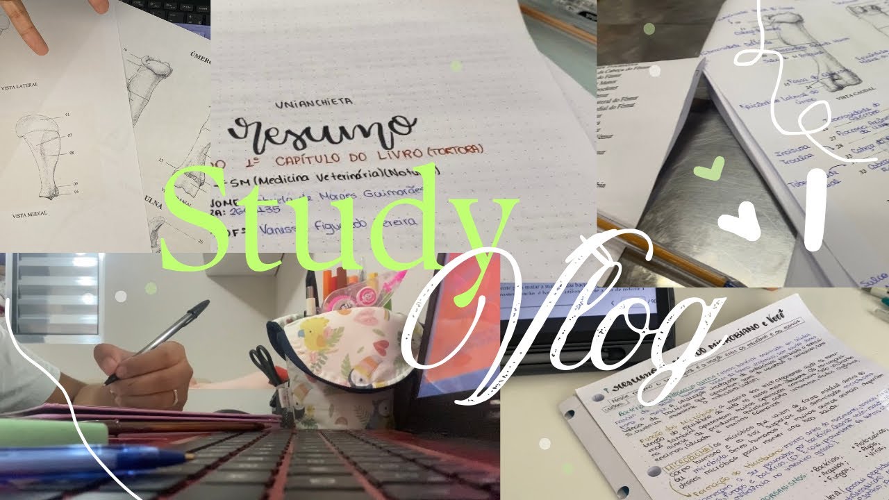 STUDY VLOG | Rotina de estudos na faculdade 💚📚🐾