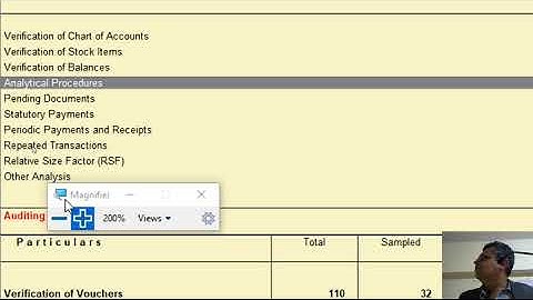 Tally As Audit Tool  - Analysis & Vouching