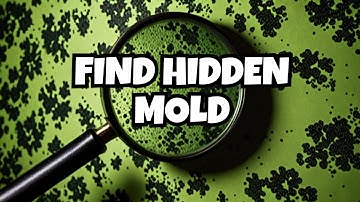 How to Find Hidden Mold in Your Home
