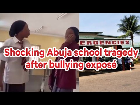 Another Abuja school under fire after British school controversy