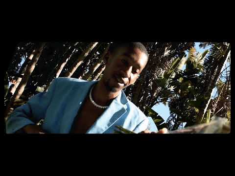TFM - LUTHANDO (Official music video)