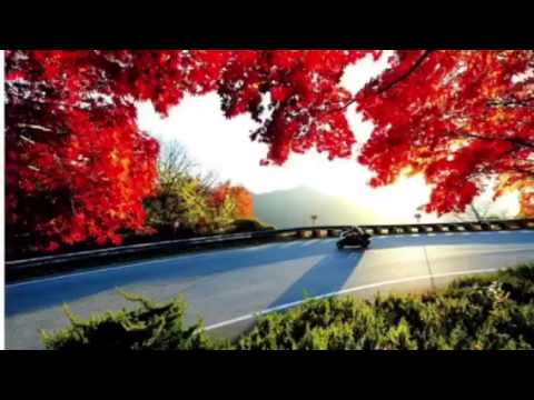 김태우 ㅡ 사랑비