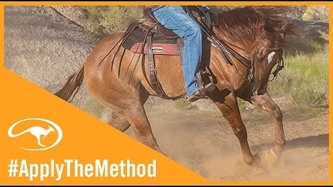 Clinton Anderson: Use Turnarounds to Engage Your Horse on the Trail - Downunder Horsemanship