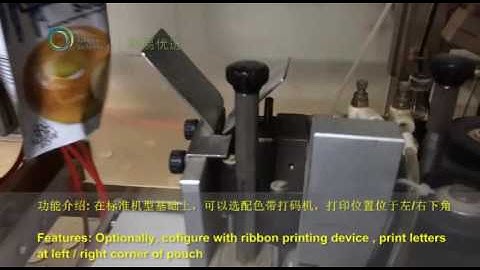 VD116D A Linear Type Prmade Pouch Packaging Machine + Ribbon Printing Device
