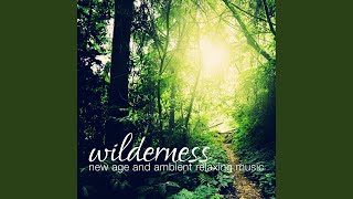 Download Lagu Favola Magica Fx (feat. Vibraphile) MP3