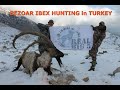 Bezoar Ibex Hunting in Turkey