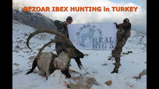 Bezoar Ibex Hunting in Turkey