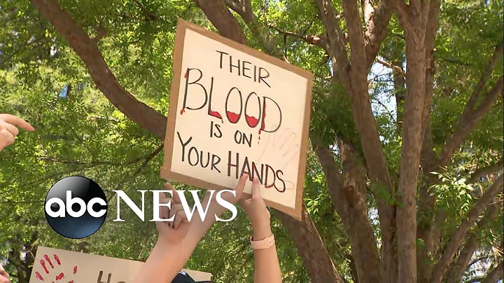 Texas school shooting revives gun control debate | ABCNL