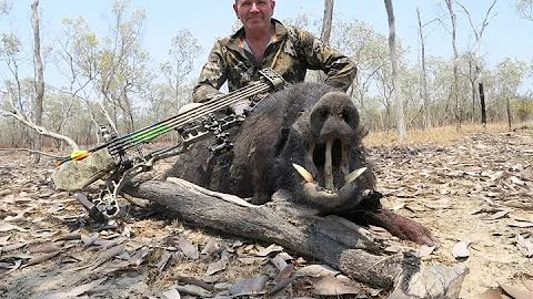 cape York solo bow hunt part 2