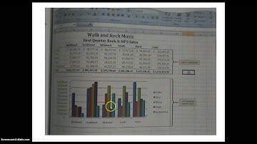 Excel Ch1 Video Lesson 1