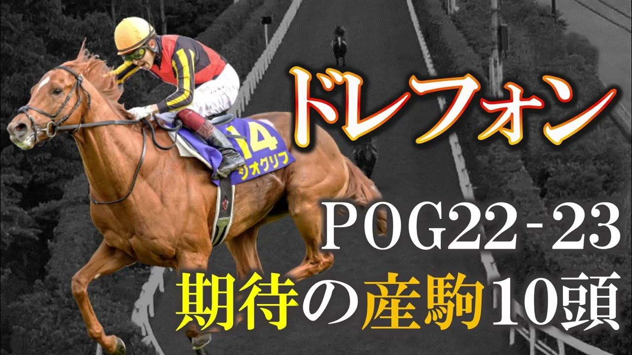 祝皐月賞制覇 初年度産駒ジオグリフが戴冠 ドレフォン期待の産駒10頭を紹介します Pog22 23 2歳馬 Youtube