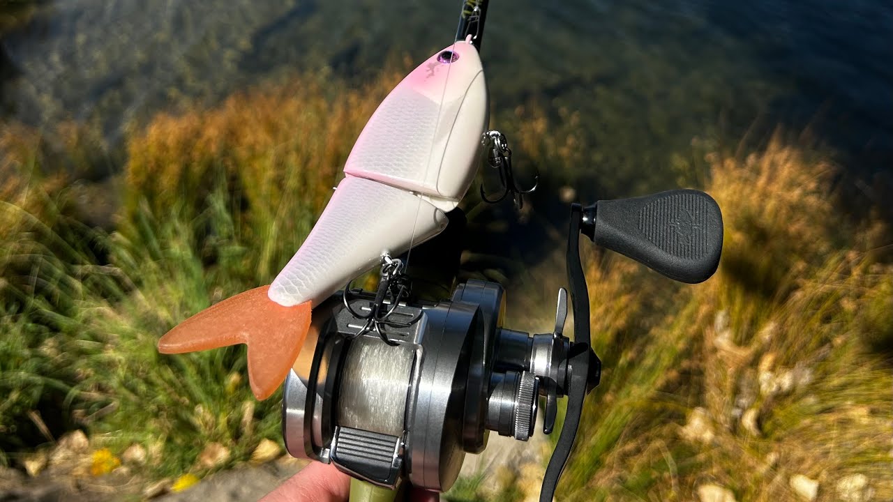 Swimbait/Glidebait and Finesse Fishing the California Delta – Largemouth and Stripers!