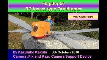 フラプター50：非常に良好な飛行